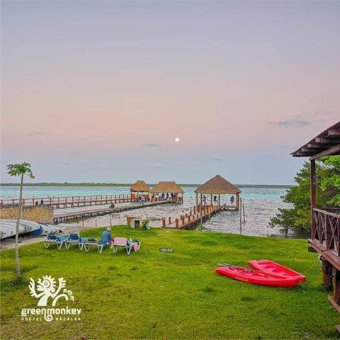 Green Monkey Hostel Bacalar Exterior foto